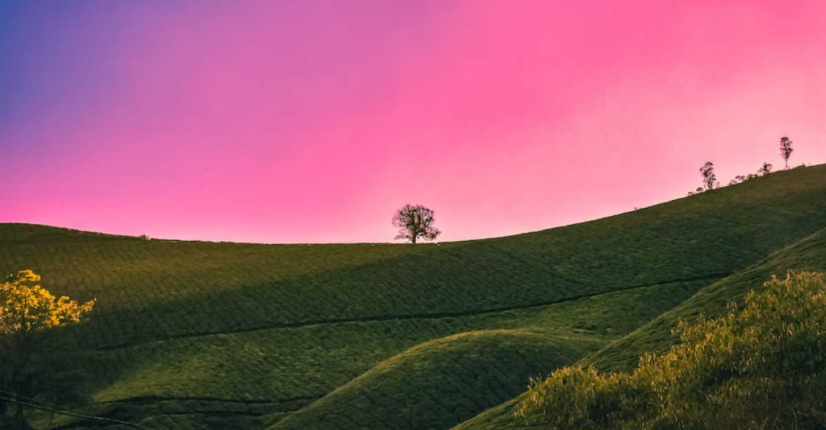 প্রাইম আইটি ওয়ার্ল্ড নিউজ-২৫ ডেমো নিউজ থ্রী