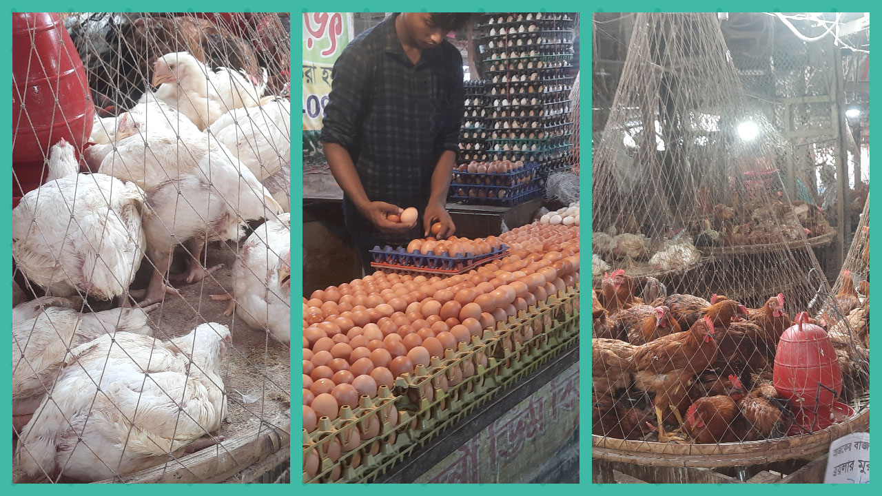 মুরগিতে বেড়েছে ১০ টাকা, ডিমের দামও বাড়তি
