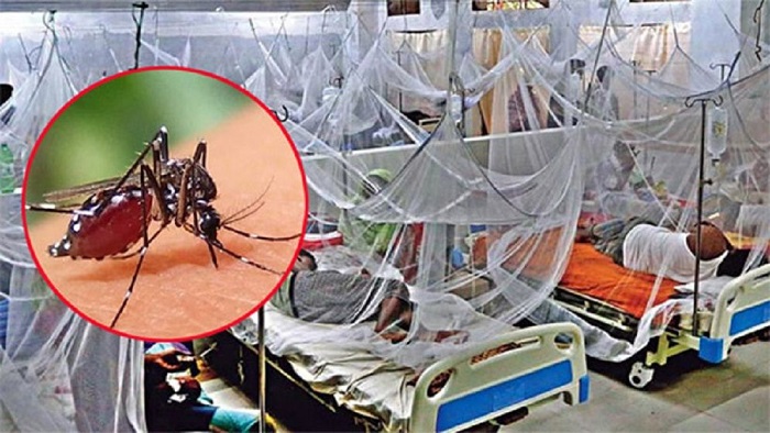 ডেঙ্গু কেড়ে নিল ৩৪ প্রাণ