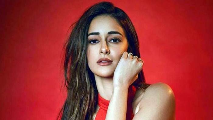 আদিত্যের ছবি পোড়ালেন অনন্যা