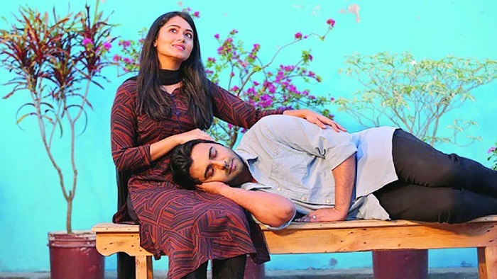 একসঙ্গে অপূর্ব-ফারিণ