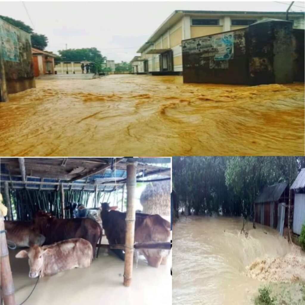 ঝিনাইগাতীতে পাহাড়ি ঢলে উপজেলা পরিষদসহ ৫০ গ্রামের নিম্নাঞ্চল প্লাবিত