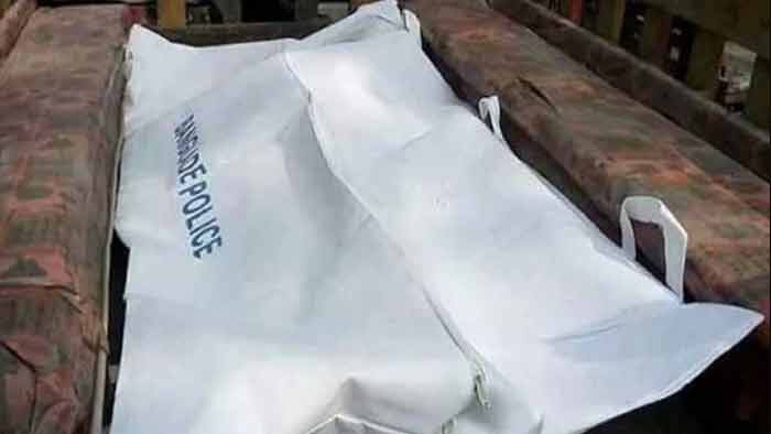 স্ত্রীকে হত্যার পর স্বামীর আত্মহত্যা