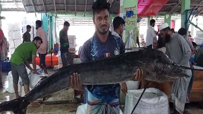 ধরা পড়লো বিশালাকৃতির দুই জোড়া পাখি মাছ