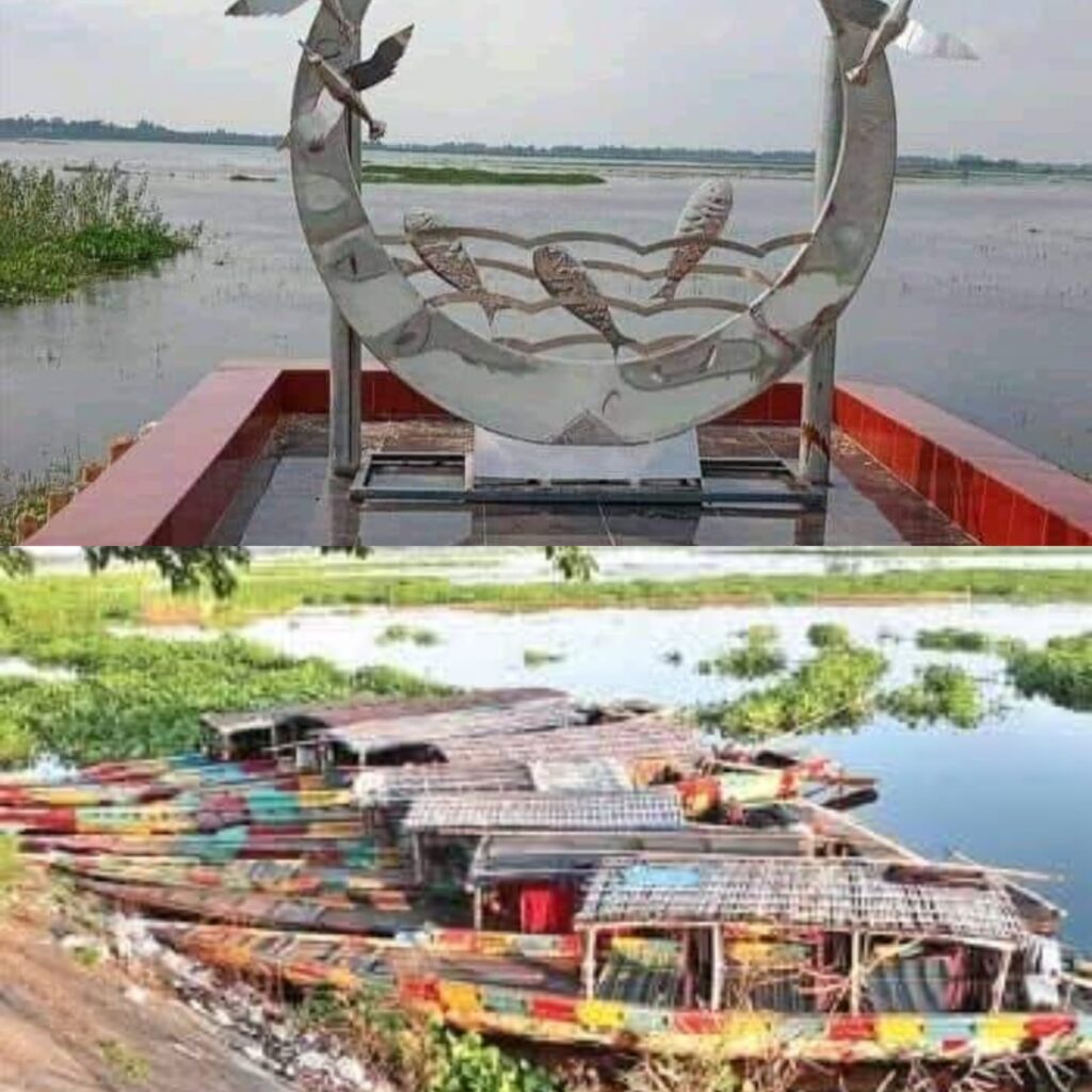 নওগাঁ মিনি কক্সবাজার খ্যাত হাঁসাইগাড়ী বিলে এখন পর্যটকের হাতছানি দৃশ্যোর দেখা মেলে