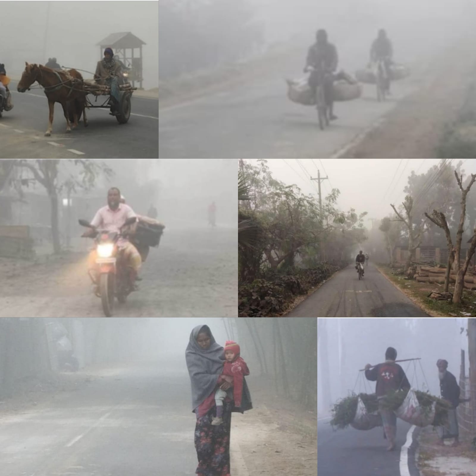 নওগাঁসহ সারাদেশে জেঁকে বসেছে শীত