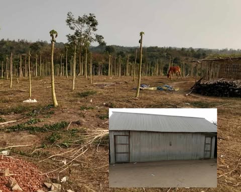 রামগড়ে বাঙ্গালী পরিবারকে উচ্ছেদের চেষ্টা, মালামাল লুট