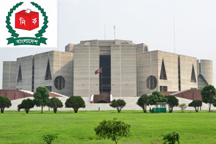 কৌশলী ইসলামী দল