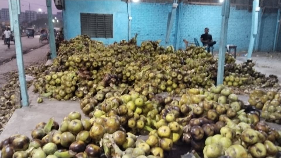 কাঁচা তালের শাঁস খুবই জনপ্রিয় একটি খাবার