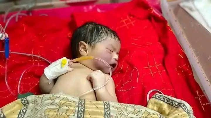 মা, নানা ও দাদীর পর নাতিরও মৃত্যু আমতলীতে সড়ক দুর্ঘটনায় বেঁচে যাওয়া নবজাতক মারা গেছে