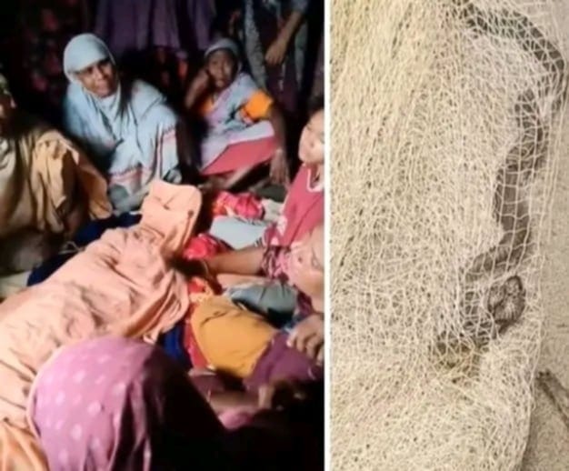 রৌমারীতে সাপের কামড়ে নারীর মৃত্যু
