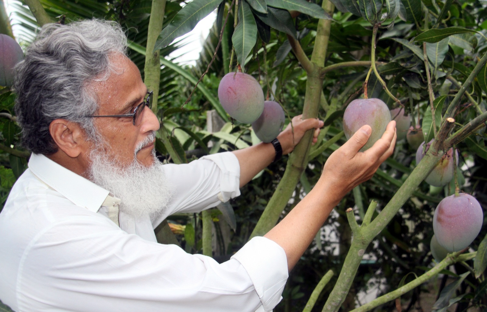A Silent Revolution in Kusumpur Through Passionate Farming and Humanitarian Service by a Freedom Fighter