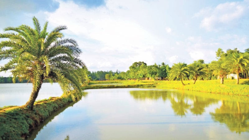 ৫০০ বছরের সাক্ষী জয়সাগর দিঘি