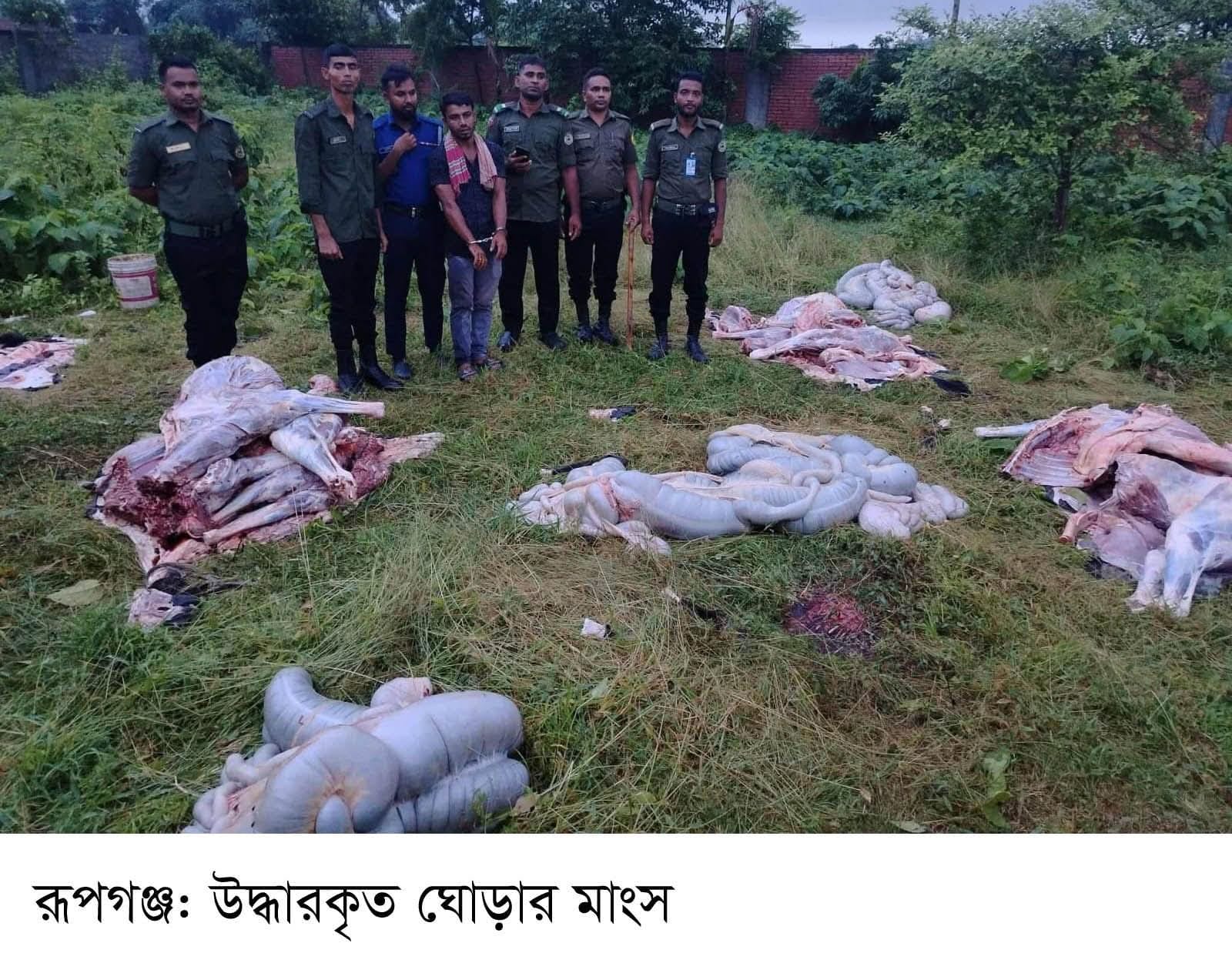 রূপগঞ্জে ৫ টি ঘোড়ার মাংস উদ্ধার