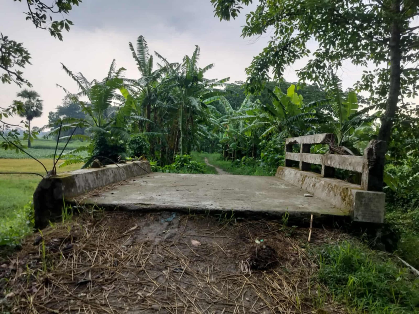 ১২ বছরেও হয়নি রাস্তা নির্মাণ, ধসে পড়েছে ব্রিজের রেলিং