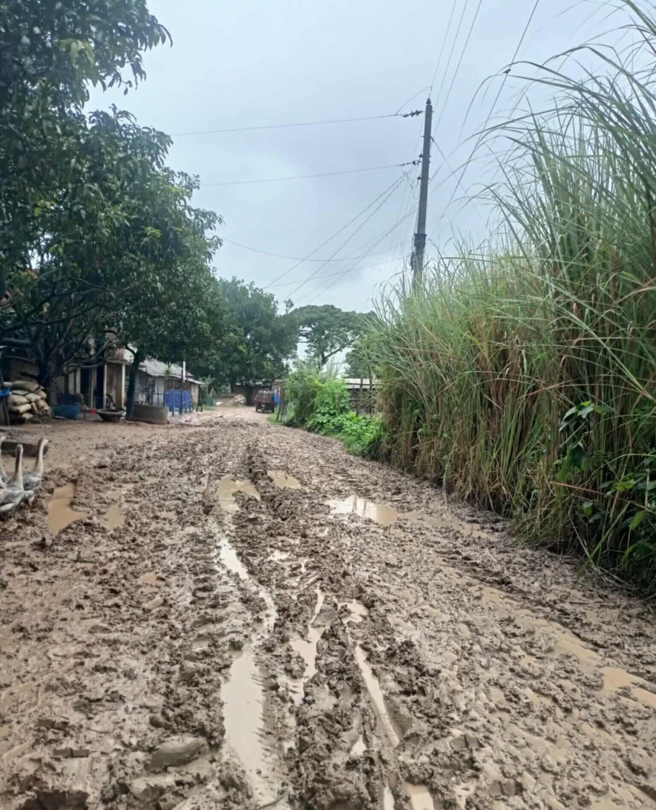 গোমস্তাপুরে চার দশক ধরে জরাজীর্ণ এক কিলোমিটার সড়ক