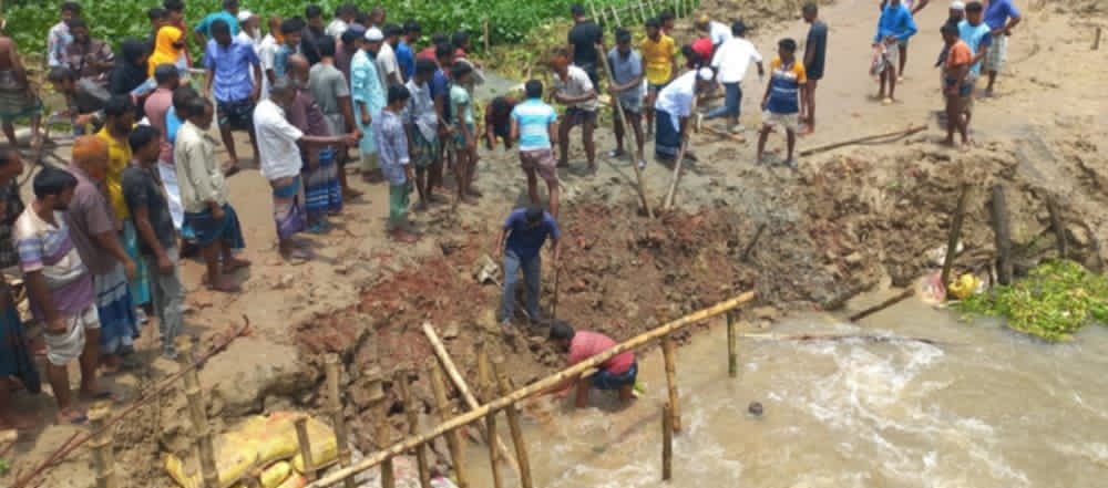 তাড়াশে ফসল বাঁচাতে রাস্তা কেটে দিল কৃষক