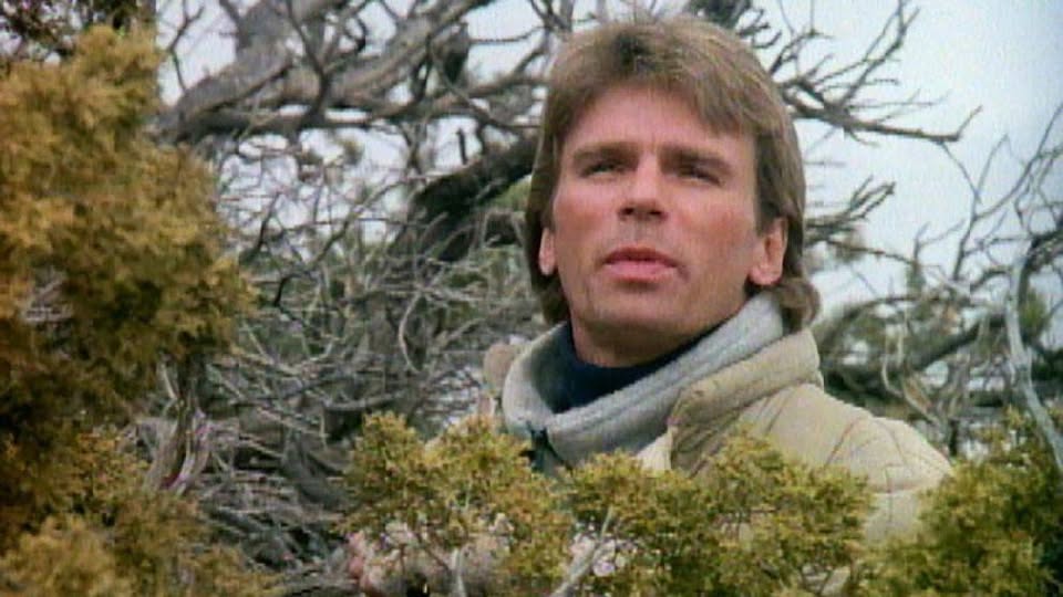 কেমন আছেন ‘ম্যাকগাইভার’