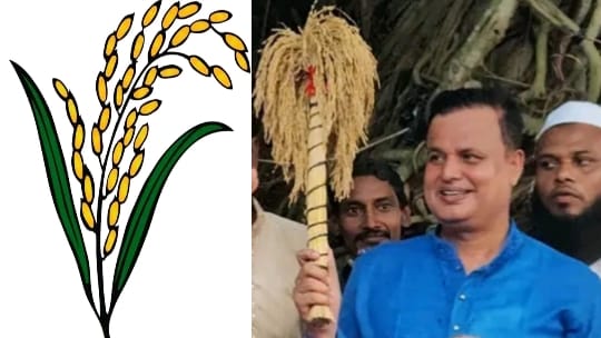 বগুড়া-৪, সংসদীয় আসনে ১৫ বছরের পরীক্ষা পেরিয়ে ধানের শীষের কান্ডারী হতে যাচ্ছেন সাবেক এমপি মোশারফ হোসেন
