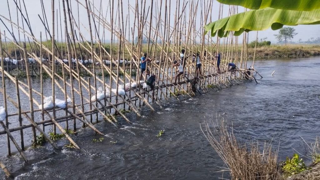সাঁথিয়ায় নিষ্কাশন খালে আবারও অবৈধ সোঁতিজাল ঘের, পানিপ্রবাহ ব্যাহত: ডুবেছে ১০ হাজার বিঘা আমন জমি