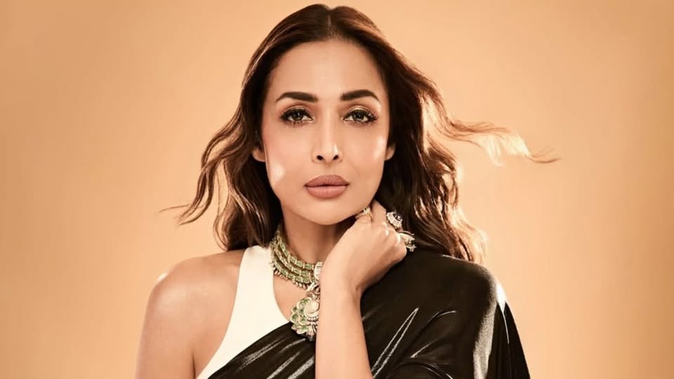 ক্রিকেটারের প্রেমে মজলেন মালাইকা