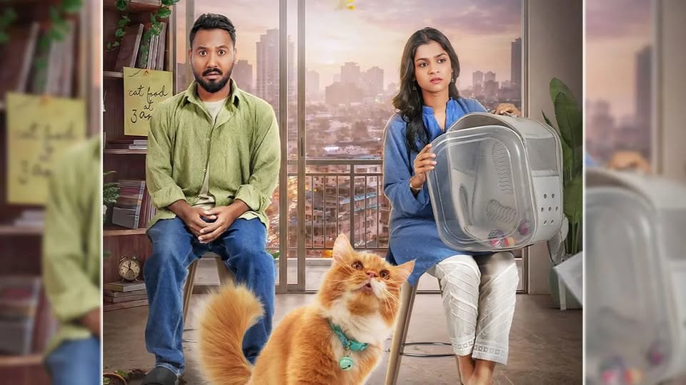 সাদিয়ার লাভ সিটার