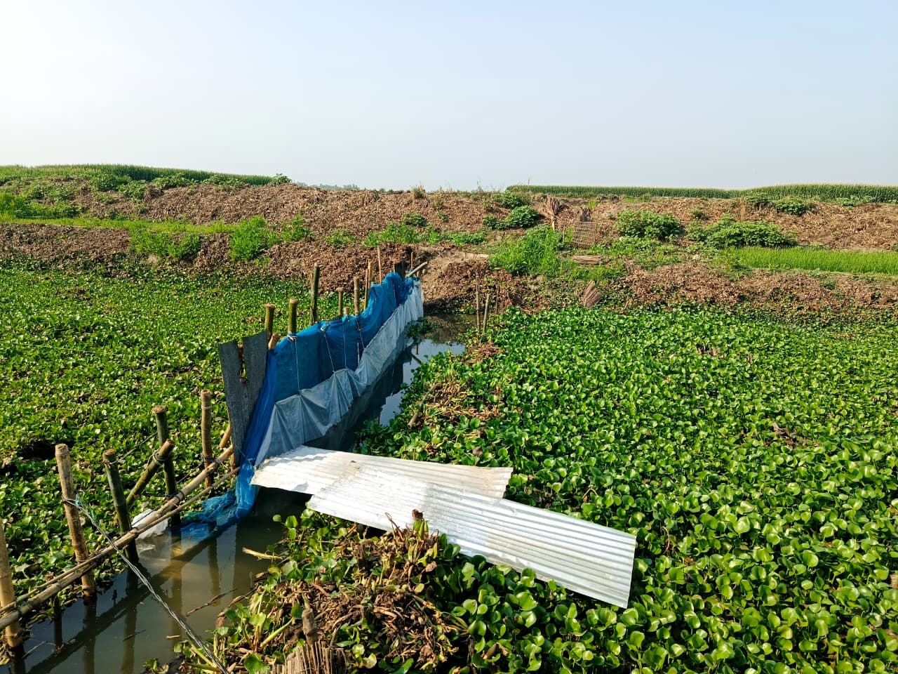 নওগাঁর আত্রাইয়ে আদালতের নিষেধাজ্ঞা অমান্য করে জমি দখলের অভিযোদগ