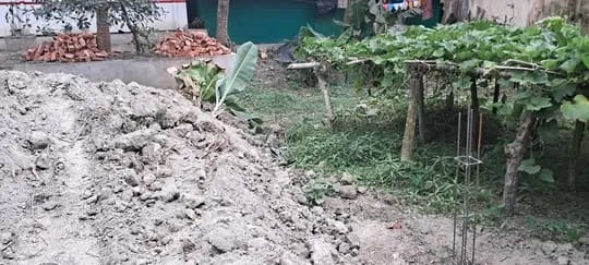 সোনাগাজীর চরচান্দিয়ায় গাছ কেটে পাকা দেয়াল নির্মাণের উদ্যোগ