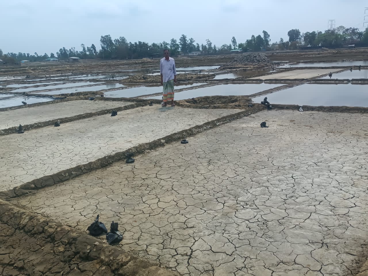 পেকুয়ায় লবণ মাঠের পলিথিন ও লবণ নিয়ে গেল চোরেরা