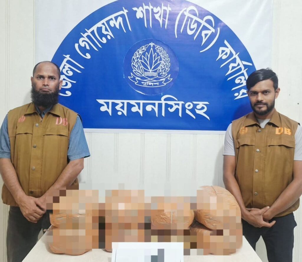 ময়মনসিংহ ডিবি পুলিশের অভিযানে ১৫ কেজি গাঁজা উদ্ধার