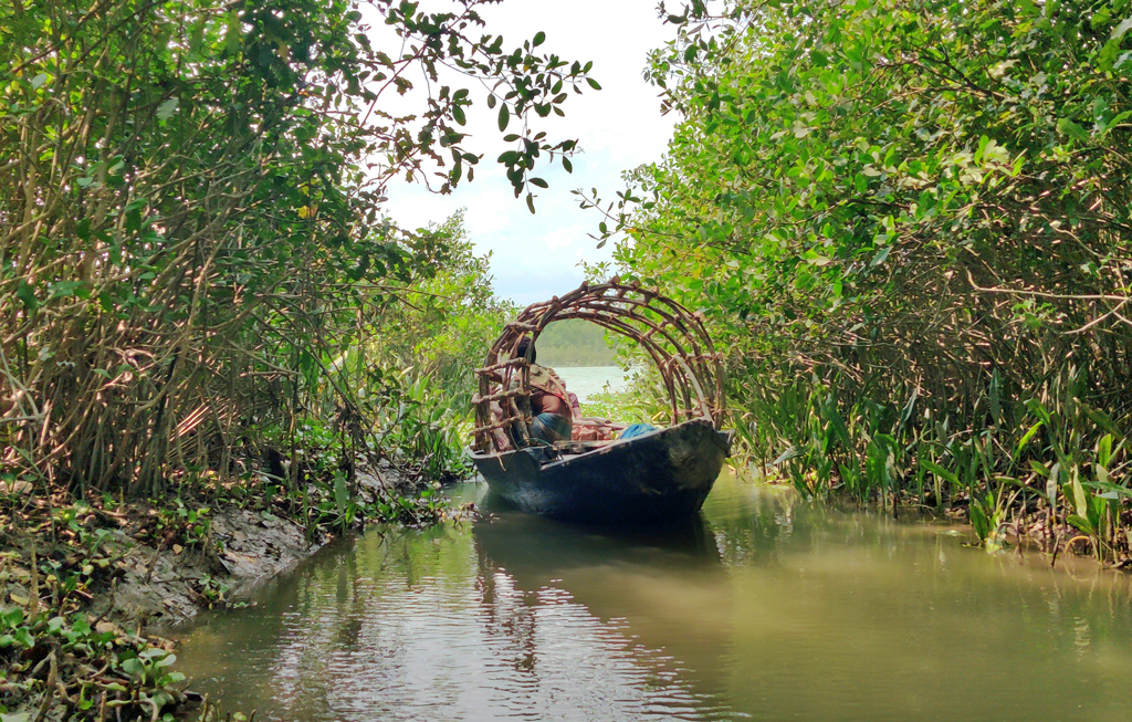 ঈদকে ঘিরে সুন্দরবনে সক্রিয় হরিণশিকারি চক্র, বনরক্ষীদের ছুটি বাতিল