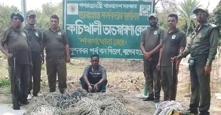 সুন্দরবনে ৪ হাজার ফুট ফাঁদসহ হরিণ শিকারিকে আটক করেছে বনবিভাগ