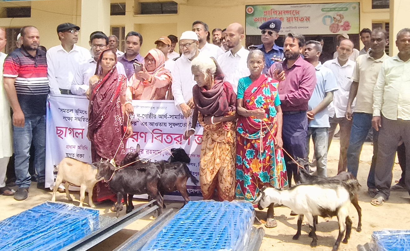 নিয়ামতপুরে ছাগল ও ছাগল পালনের উপকরণ বিতরণ